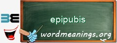 WordMeaning blackboard for epipubis